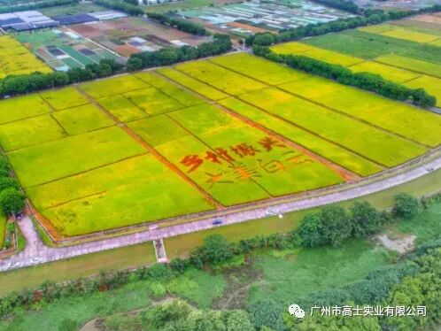 Glorystar won the Special Contribution Award in the 2021 Baiyun District Rural Revitalization Photography Competition