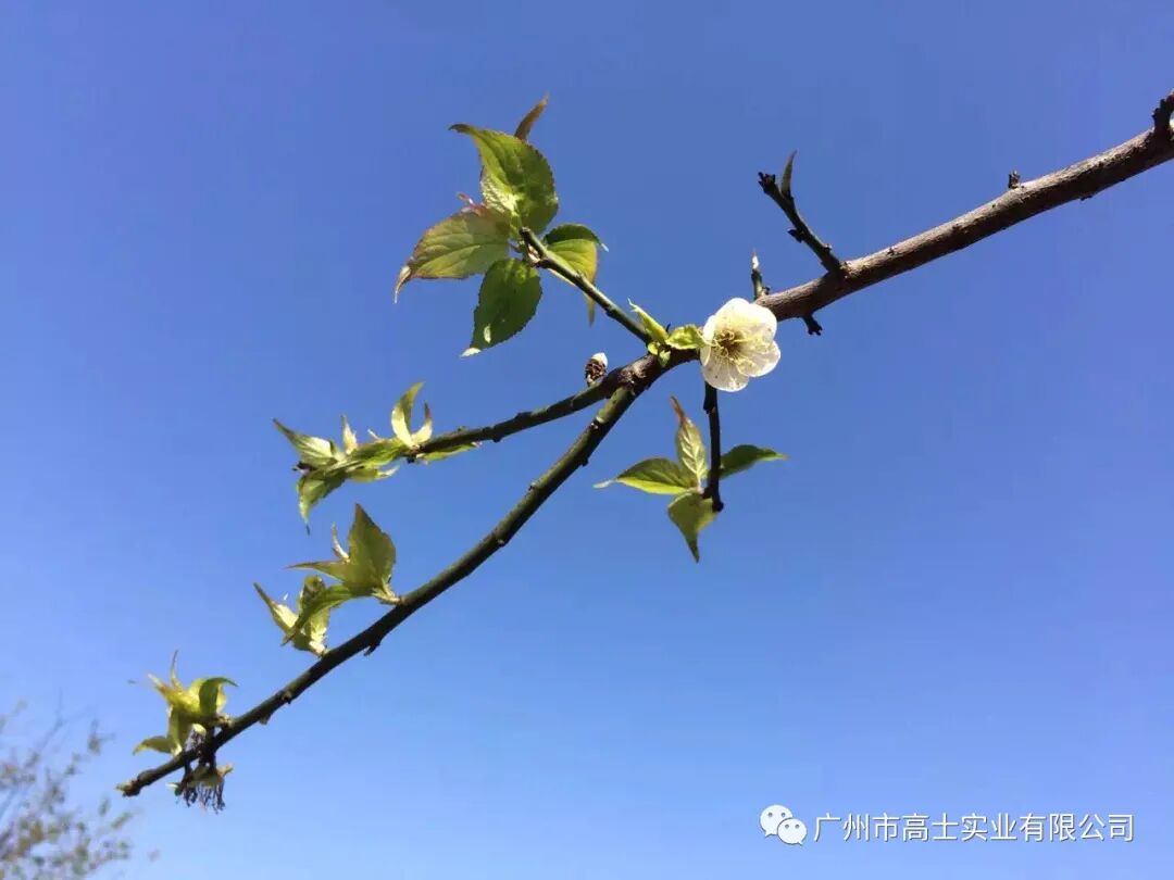 Baiyun through the lens: the 2021 Glorystar Cup photography competition