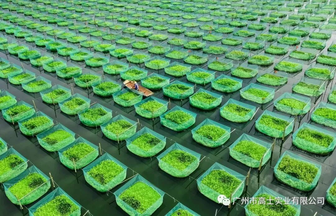 ไป่หยุนผ่านเลนส์: การประกวดภาพถ่าย Glorystar Cup 2021